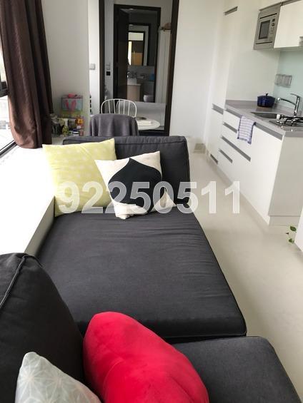 Harbour Suites (D4), Apartment #160653892